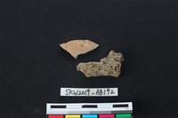 藏品(獸骨)的圖片