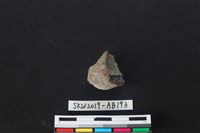 藏品(獸骨)的圖片