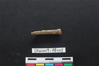 藏品(獸骨)的圖片