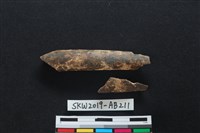 藏品(獸骨)的圖片