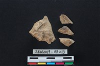 藏品(獸骨)的圖片