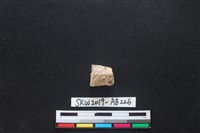 藏品(獸骨)的圖片