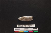 藏品(獸骨)的圖片