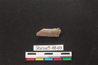 藏品(獸骨)的圖片