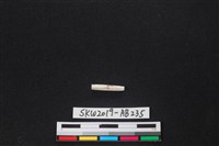 藏品(獸骨)的圖片