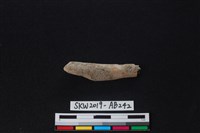 藏品(獸骨)的圖片