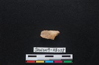 藏品(獸骨)的圖片