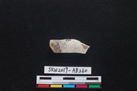 藏品(獸骨)的圖片