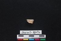 藏品(獸骨)的圖片