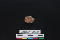 藏品(獸骨)的圖片