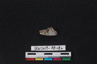 藏品(獸骨)的圖片