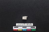 藏品(獸骨)的圖片