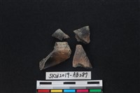 藏品(獸骨)的圖片