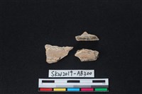 藏品(獸骨)的圖片