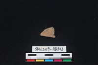 藏品(獸骨)的圖片