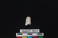 藏品(獸骨)的圖片