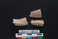 藏品(獸骨)的圖片