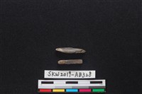 藏品(獸骨)的圖片