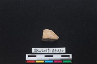 藏品(獸骨)的圖片