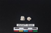 藏品(獸骨)的圖片