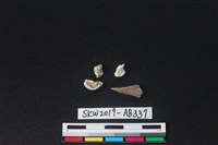 藏品(獸骨)的圖片