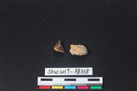 藏品(獸骨)的圖片