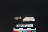 藏品(獸骨)的圖片