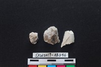 藏品(獸骨)的圖片