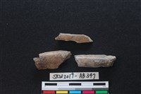 藏品(獸骨)的圖片