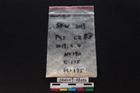 藏品(獸骨)的圖片