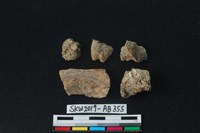 藏品(獸骨)的圖片