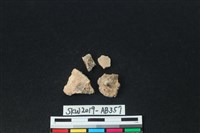 藏品(獸骨)的圖片