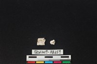 藏品(獸骨)的圖片