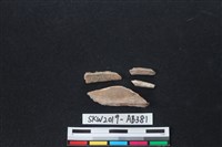 藏品(獸骨)的圖片