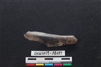 藏品(獸骨)的圖片