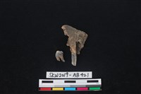 藏品(獸骨)的圖片