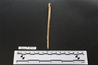 藏品(骨尖器)的圖片