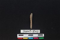 藏品(骨尖器)的圖片