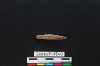 藏品(魚卡子)的圖片