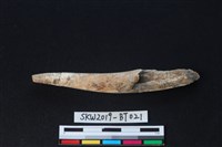 藏品(魚卡子)的圖片