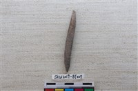 藏品(骨尖器)的圖片