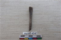 藏品(骨尖器)的圖片