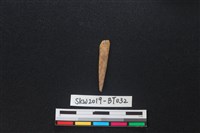 藏品(骨尖器)的圖片