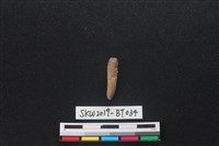 藏品(骨尖器)的圖片