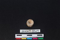 藏品(魚骨珠)的圖片