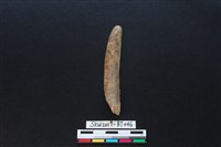 藏品(骨尖器殘件)的圖片