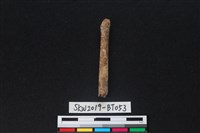 藏品(骨尖器殘件)的圖片