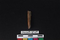 藏品(骨尖器殘件)的圖片