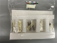 藏品(人骨)的圖片
