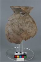 藏品(罐形器)的圖片